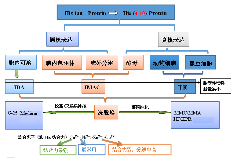 5d400b9fa612b.png A1.png