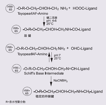 5d40f8744252f.png A2.png