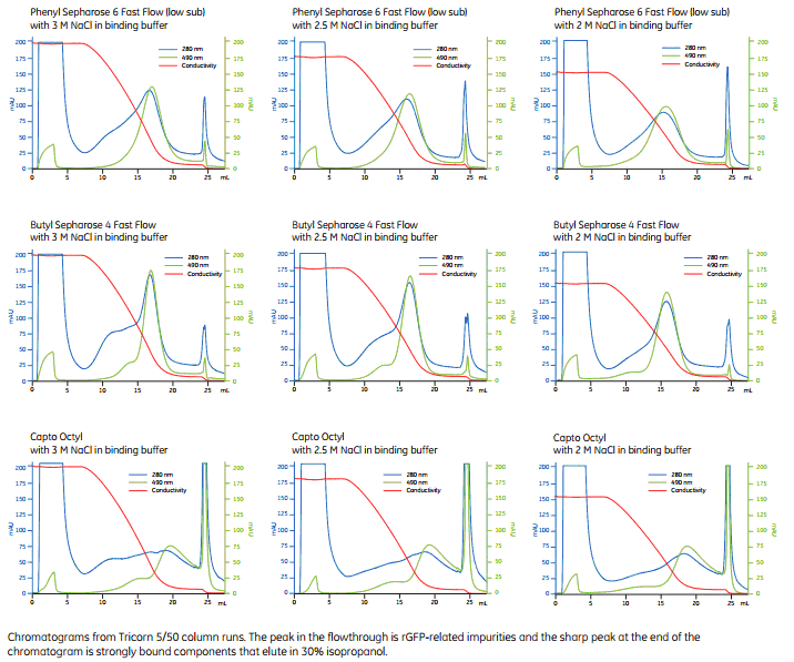 5d4108c6297a1.png A1.png