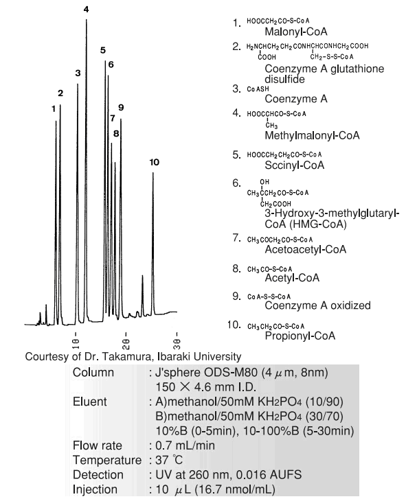 5d56294988381.png 2.png